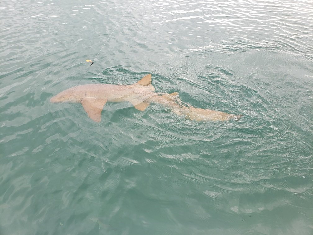 Captain Mel's Sportfishing Charters-基韦斯特必去景点