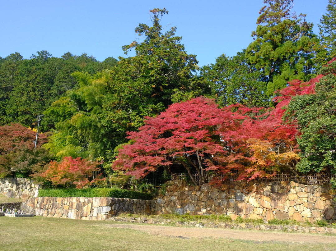 Myoshu-ji Temple-龟冈市必去景点