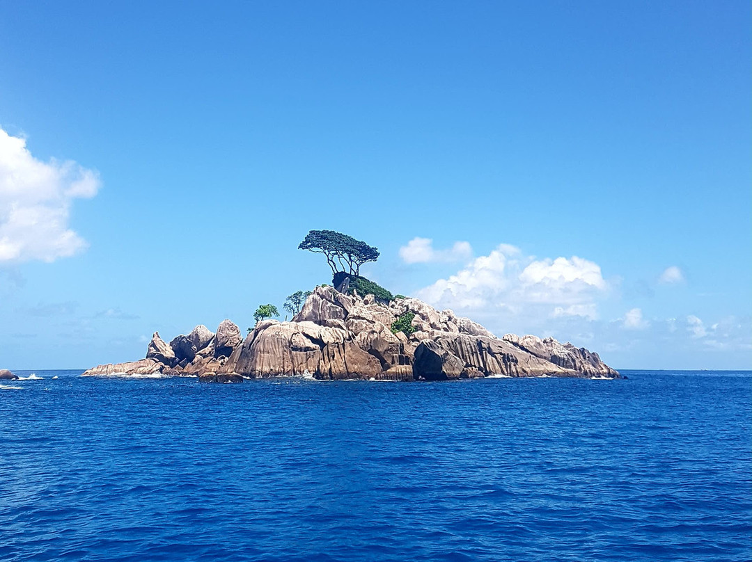 Praslin Pro Divers景点图片