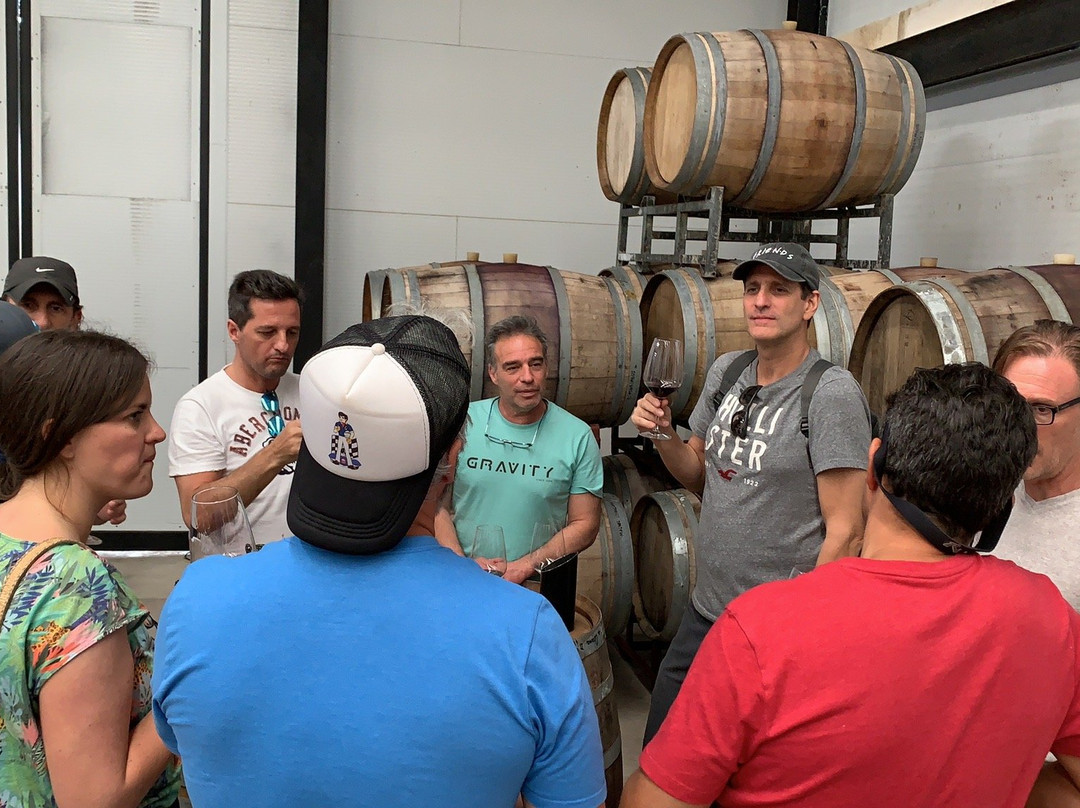 Vintura Wine Tours景点图片