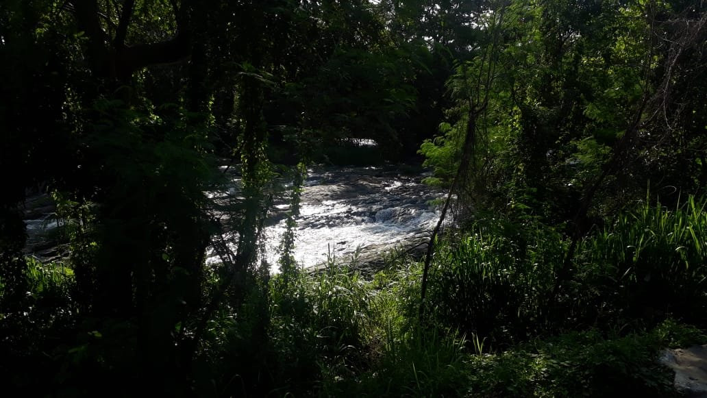 Hornbill River Camp主图