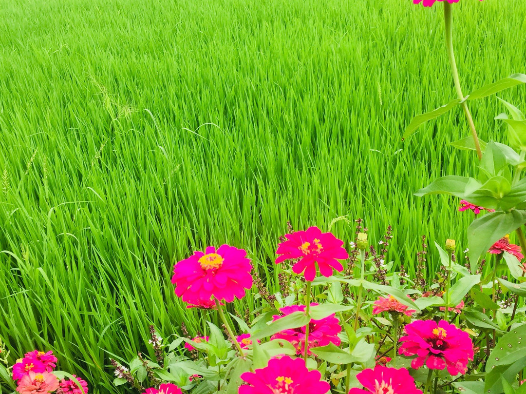 Vietnam To Travel-胡志明市必去景点