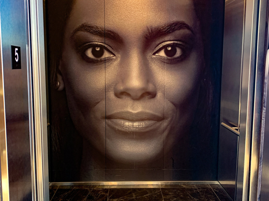 The Edwin Hotel主图