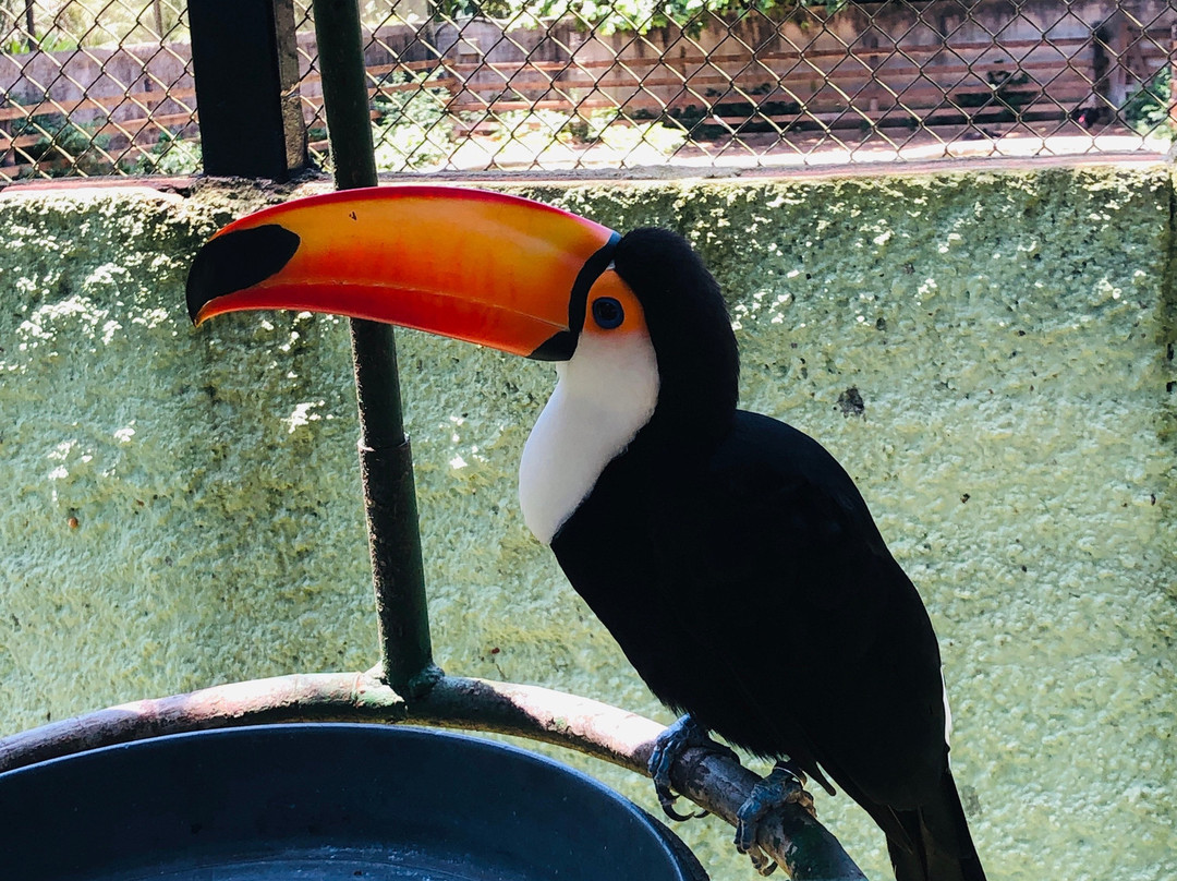 Zoo Park da Montanha景点图片