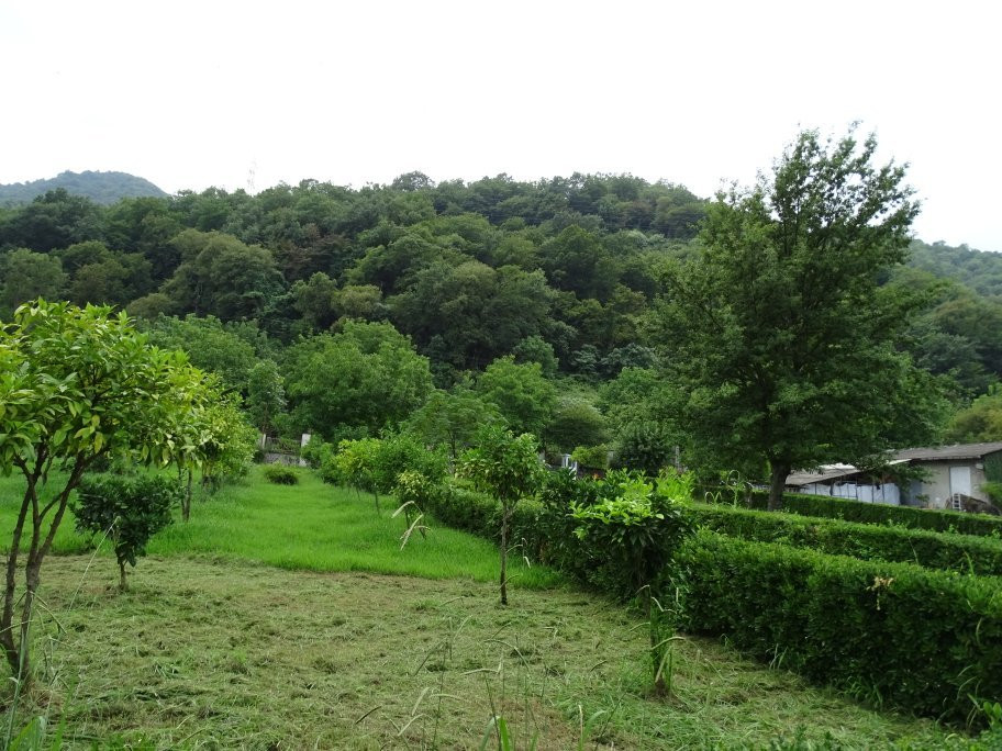 Ramsar's palace-朗姆萨尔必去景点