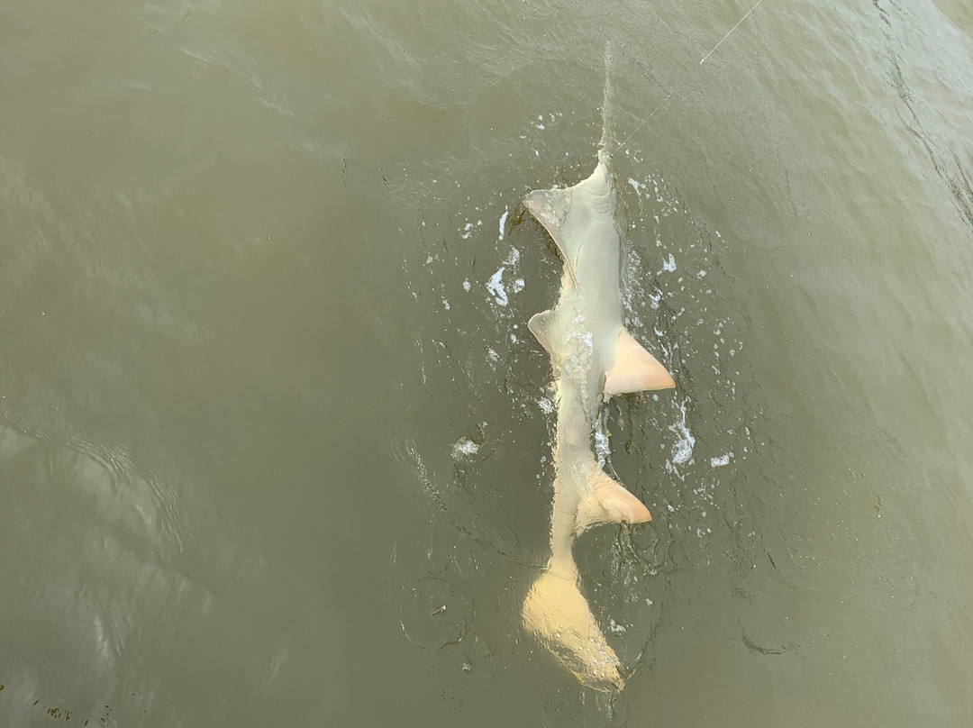 Adam Mikelson's Fishing Adventures-那不勒斯必去景点