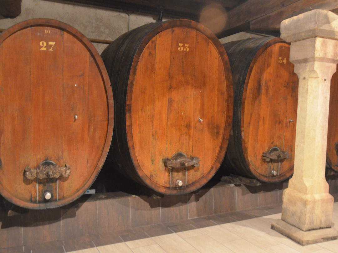 Domaine Armand Gilg景点图片