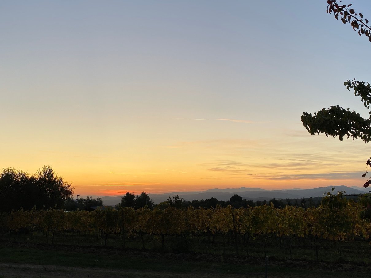 波德尔布里齐奥乡村民宿-酒店景观