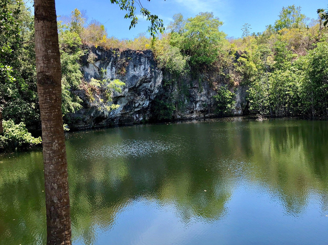 Sulawesi Dive Trek景点图片
