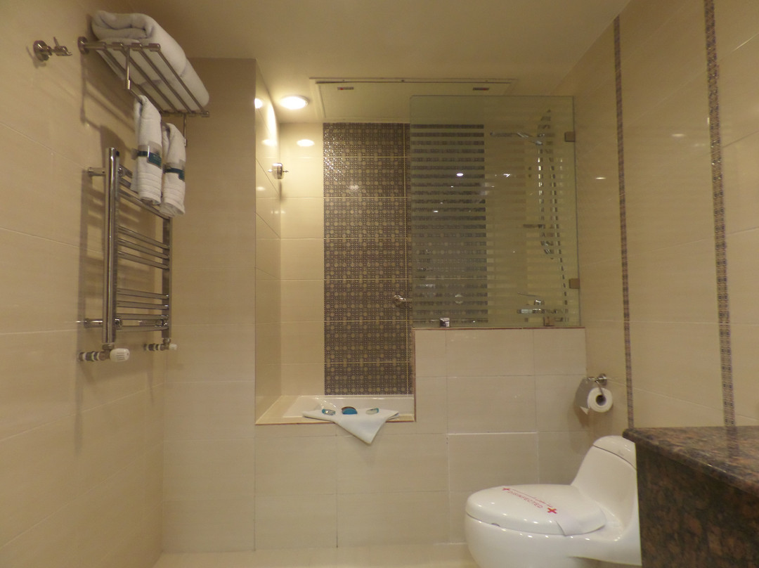 Zandiyeh Hotel主图