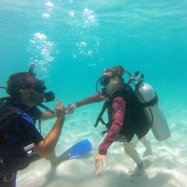Explorer Diving-Maragogi必去景点