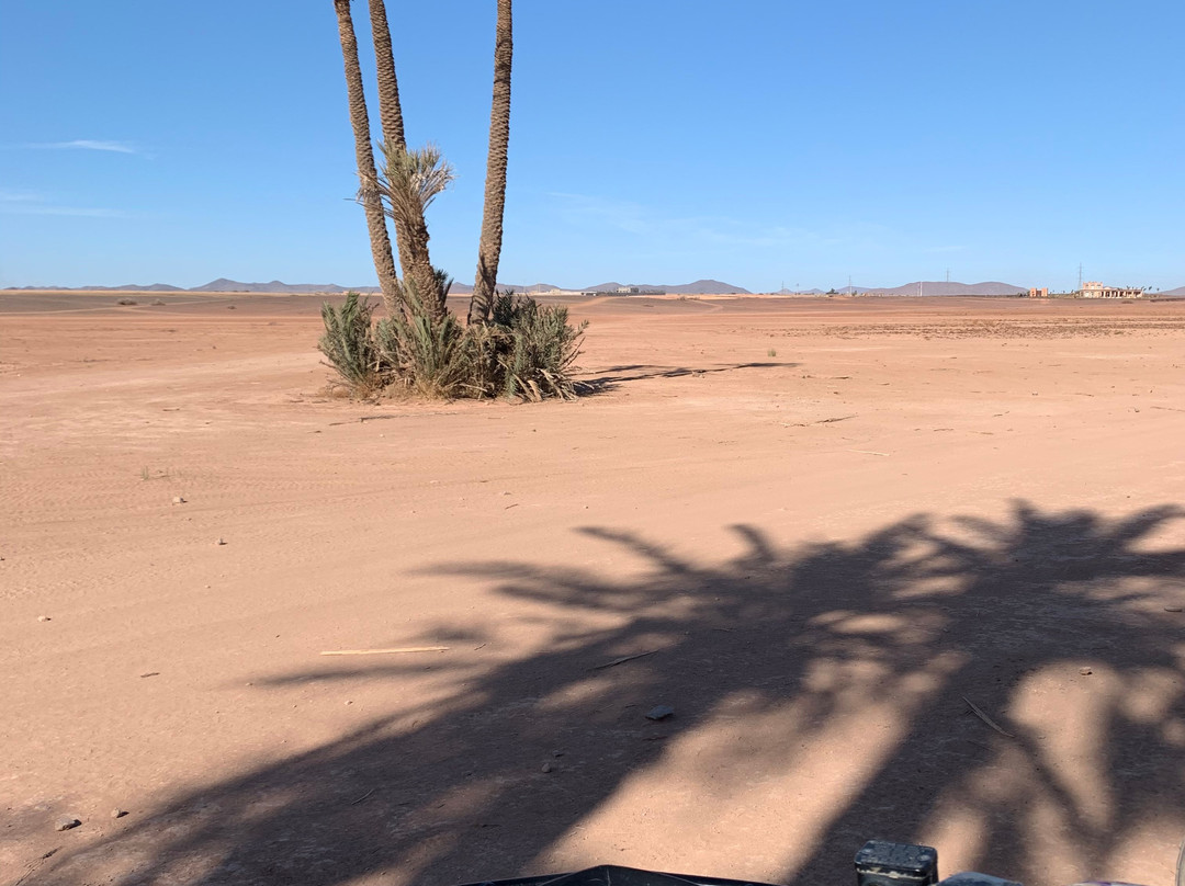 Marrakech Experiences Quad-马拉喀什必去景点