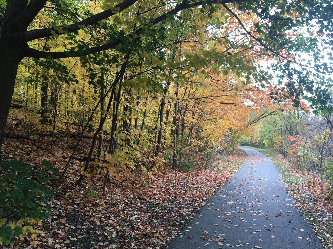 Etobicoke Valley Park-多伦多必去景点