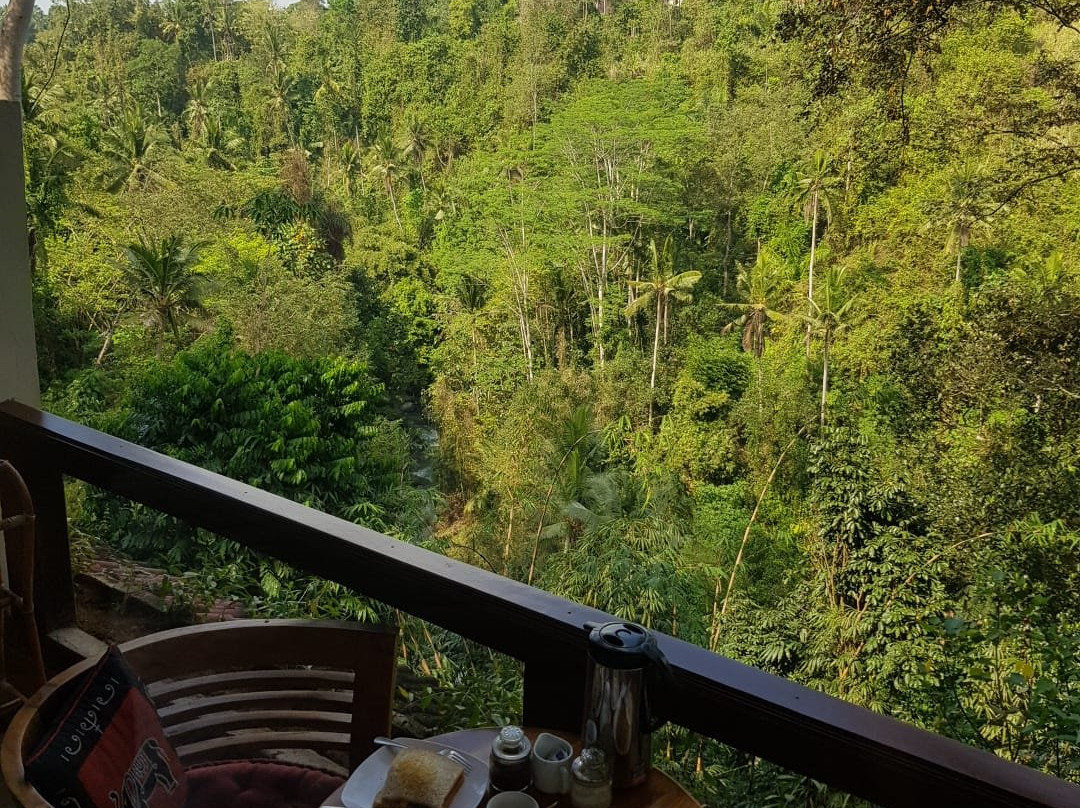 D'Tepi Ubud House主图
