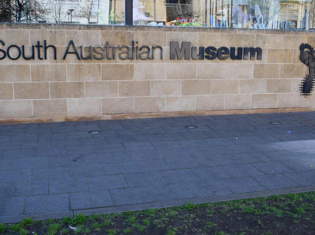 南澳博物馆景点图片