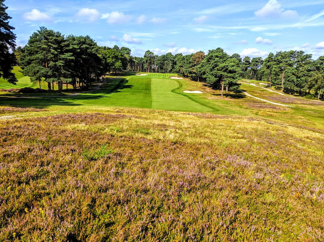 Camberley Heath景点图片