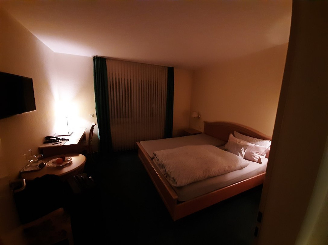 Hotel Restaurant zur Post主图