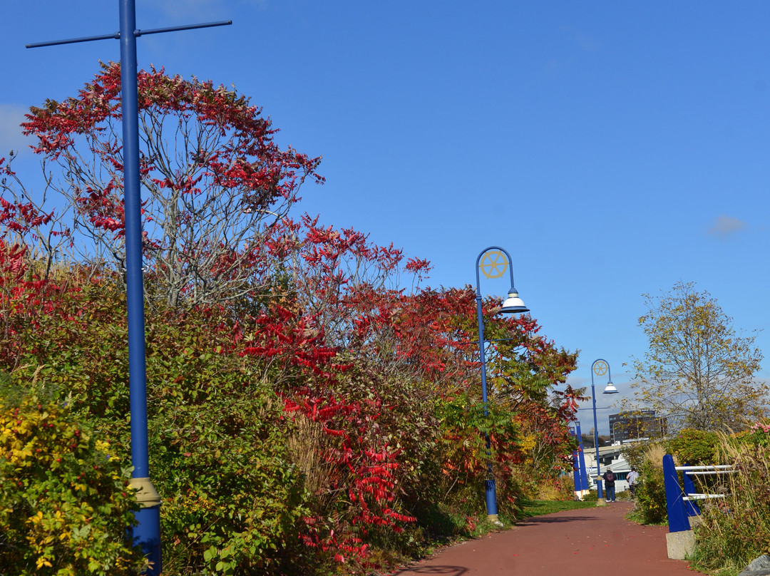 Harbour Passage-圣约翰必去景点