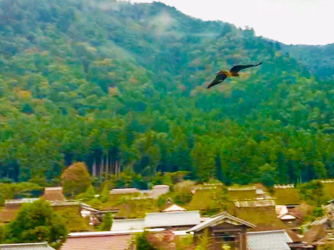 Miyama Town Nature Cultural Village-南丹市必去景点