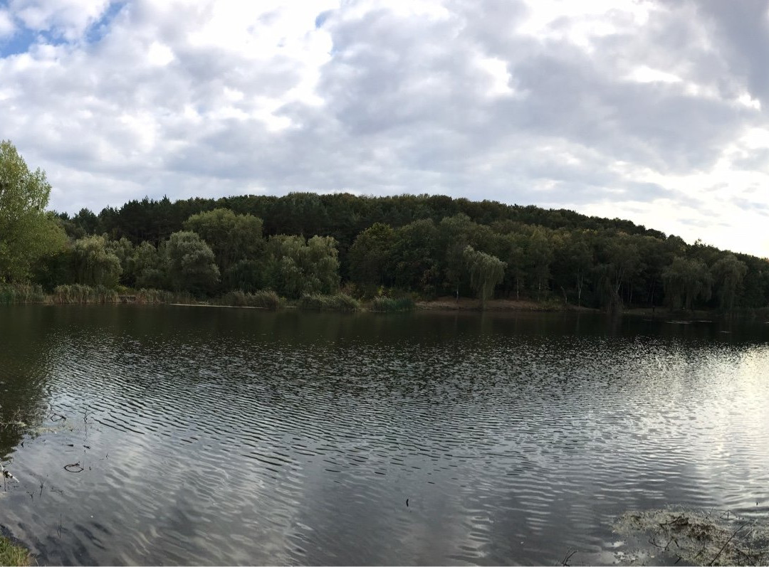 Poltava City Park - Arboretum-Poltava必去景点