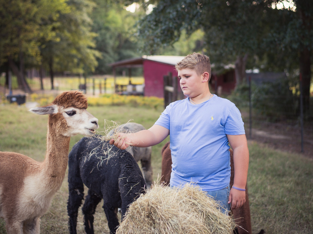 Carolina Pride Pastures-Pomaria必去景点