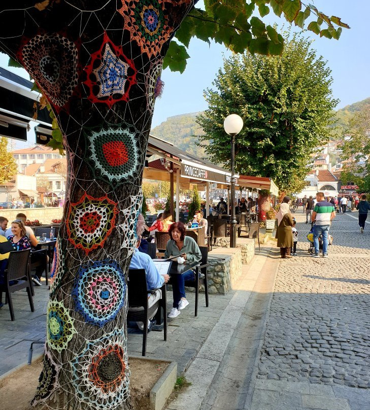 Go as Local-地拉那必去景点