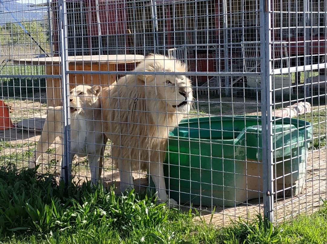 Parc Animalier De La Sainte Victoire景点图片