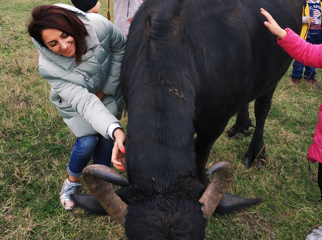 Kartal Eco Park-Orlivka必去景点