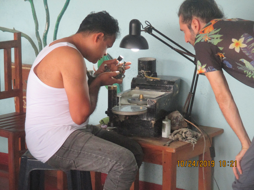 Ratnapura酒店住宿-Ratna Gem Halt