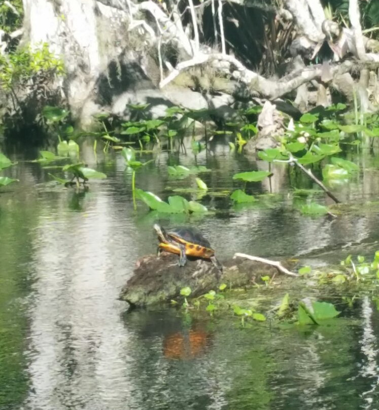 Captain Tom's Custom Charters