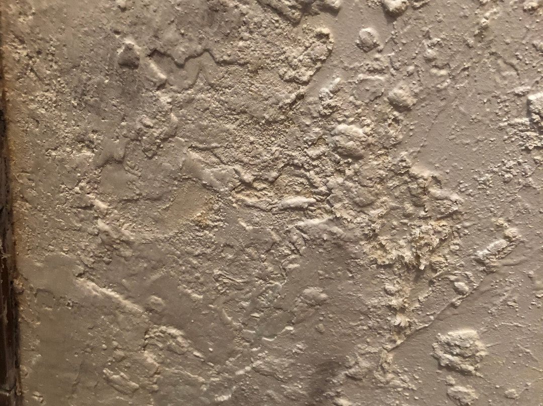 Guest House Cuk主图