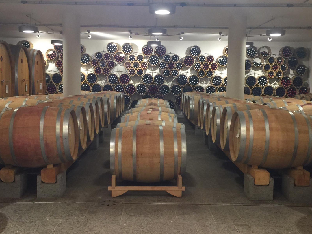 Roccafiore Winery-托迪必去景点