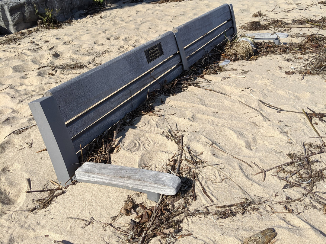 Traverse Area Recreation and Transportation Trails-特拉弗斯城必去景点