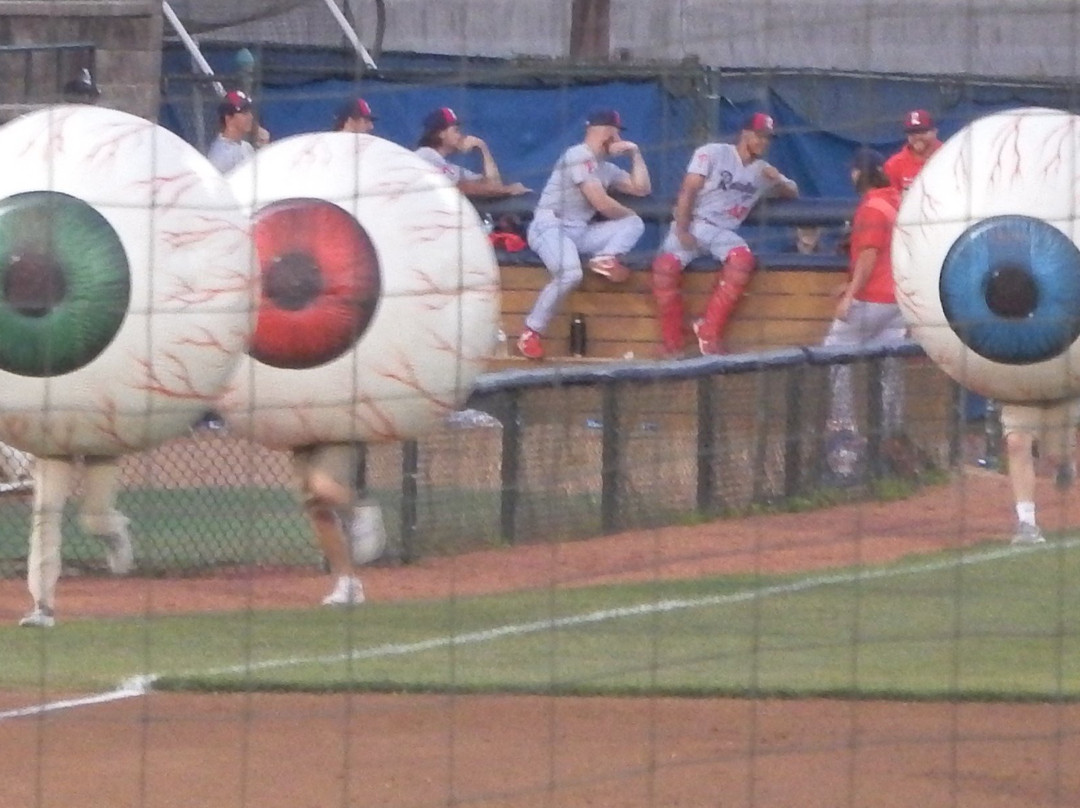 Trenton Thunder Ballpark景点图片