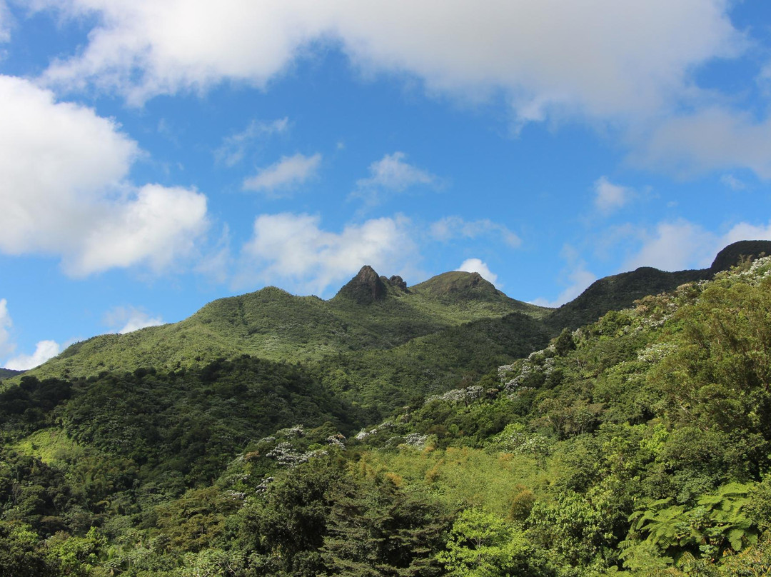 El Yunque Peak景点图片