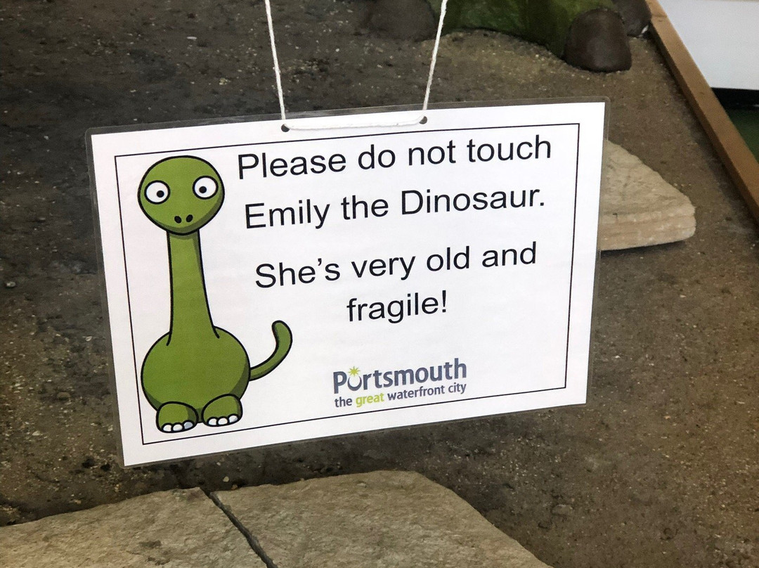 Portsmouth Natural History Museum-普兹茅斯必去景点
