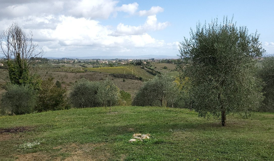 2 Be In Siena - Day Tours景点图片