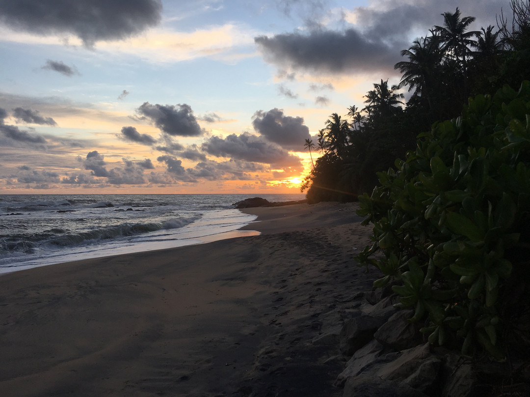 Jasmine Beach House主图