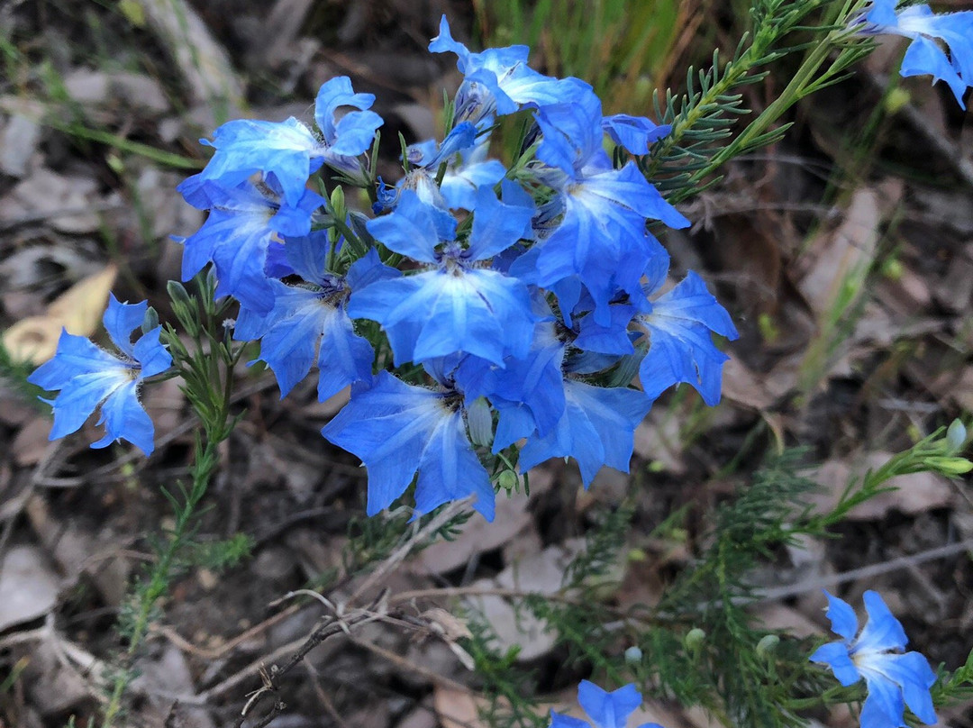 Travellers Rest Motel主图