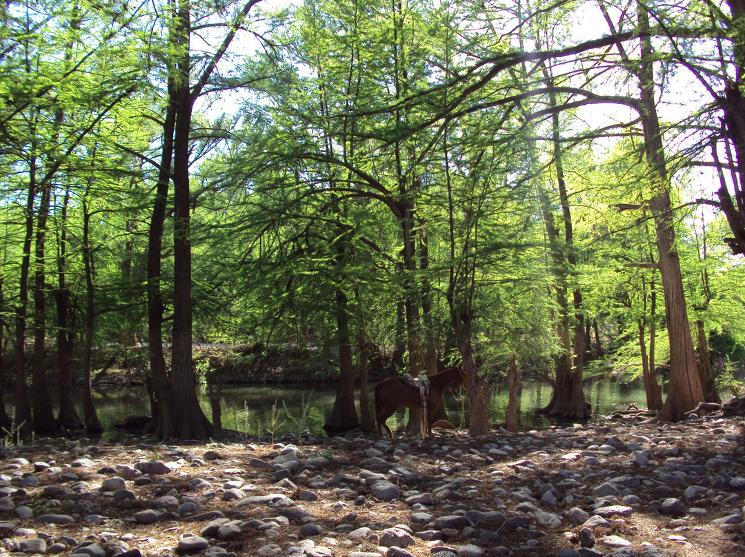 杜兰戈旅游景点-Los Salones