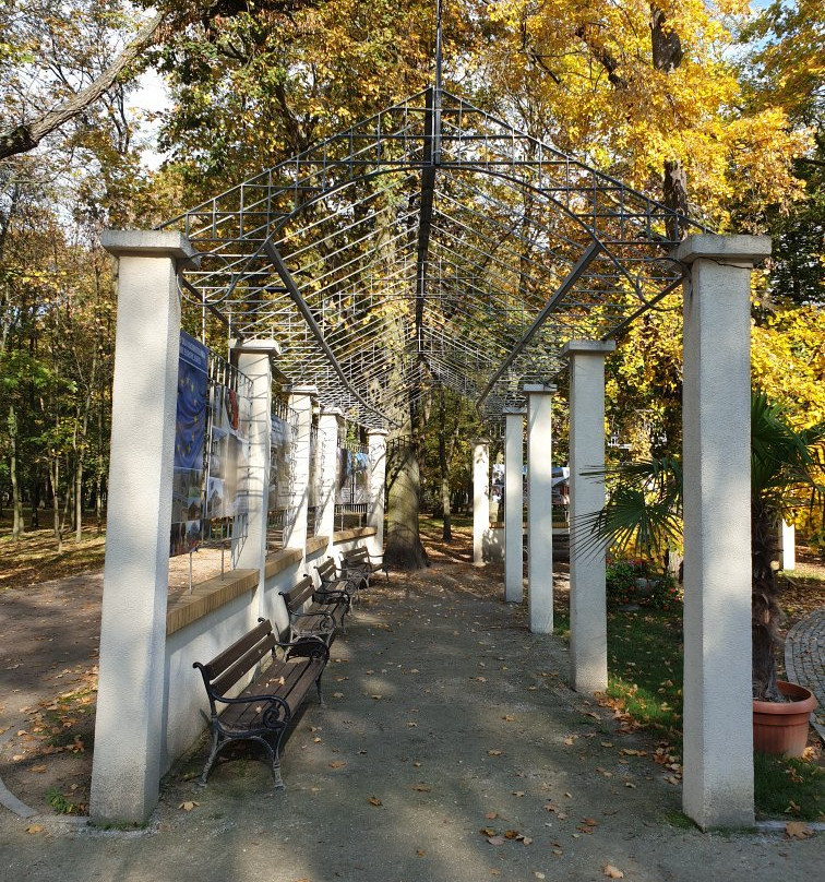 Solankowy Park景点图片