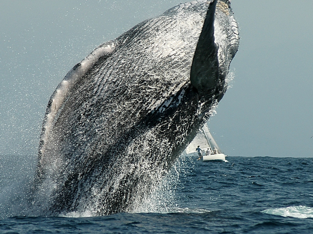 Explora Vallarta-瓦拉塔港必去景点