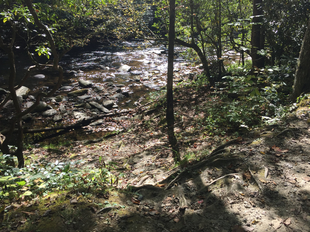 Tom Branch Falls-大雾山国家公园必去景点