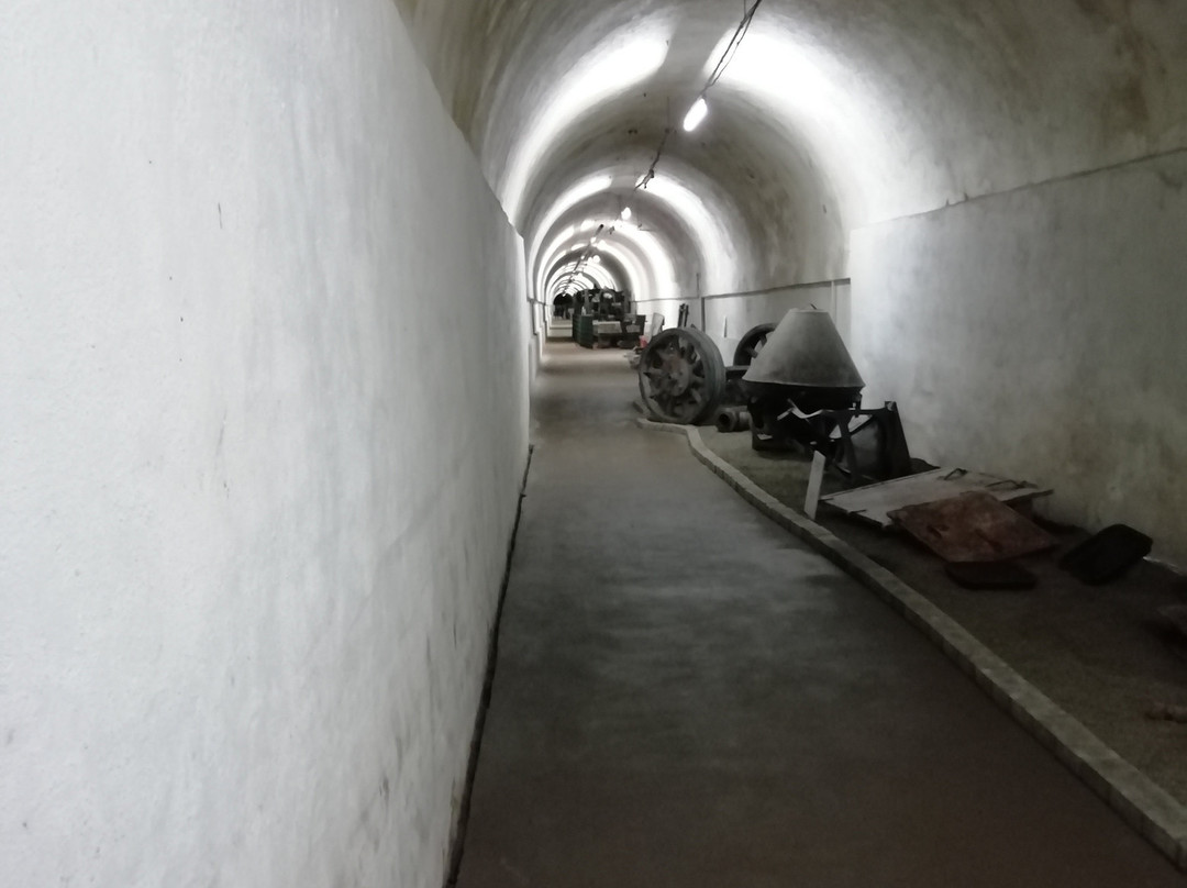 Westwall Museum景点图片