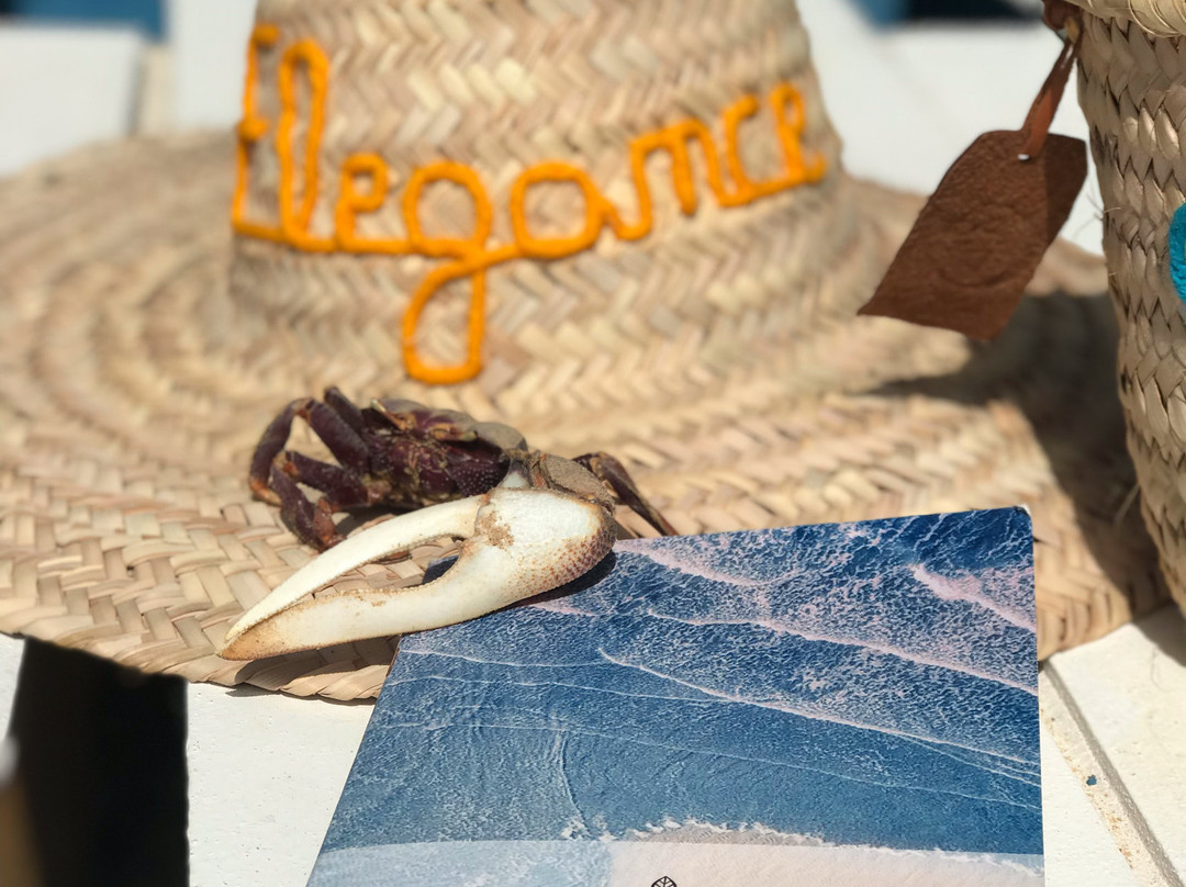 Elégance Wellness Center-达赫拉必去景点