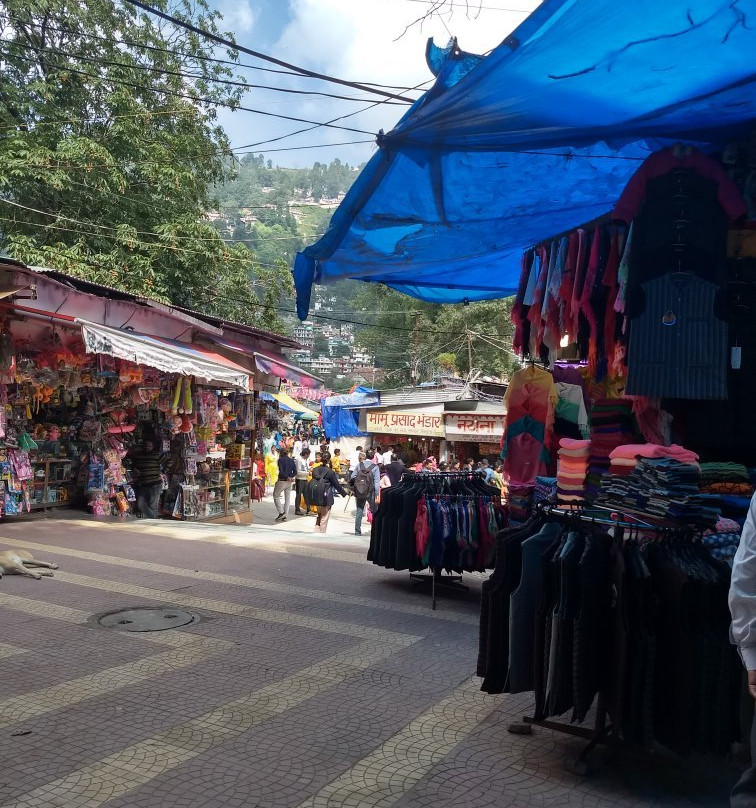 Tibetan Market景点图片