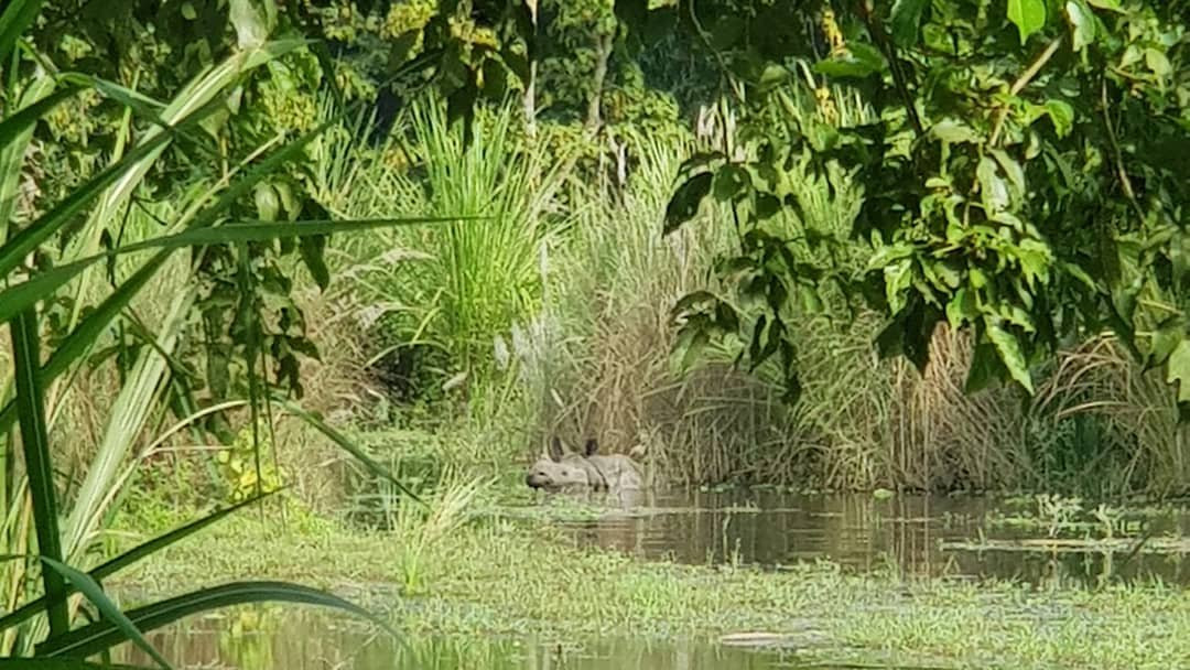 Ghumtee Riviera主图