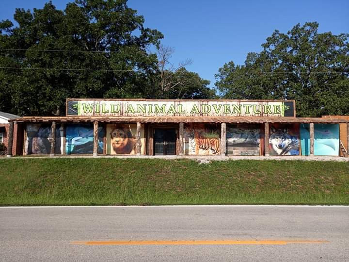 Wild Animal Adventure-斯坦顿必去景点