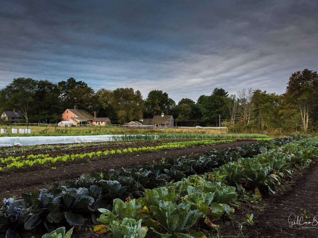 Saltbox Farm景点图片