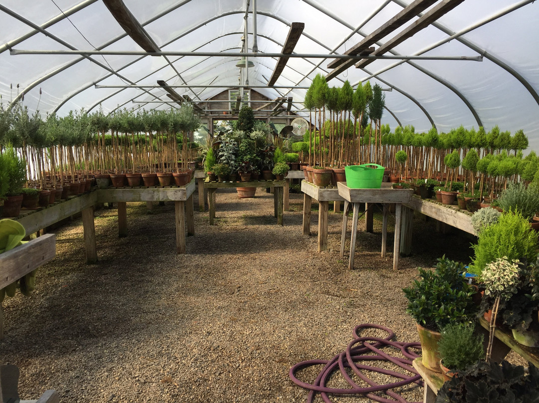 Snug Harbor Farm景点图片